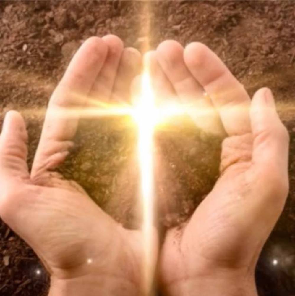 Meet your Posher, Evlin